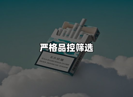 专业优势